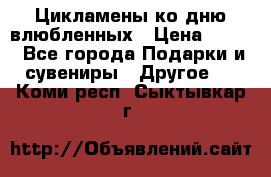Цикламены ко дню влюбленных › Цена ­ 180 - Все города Подарки и сувениры » Другое   . Коми респ.,Сыктывкар г.